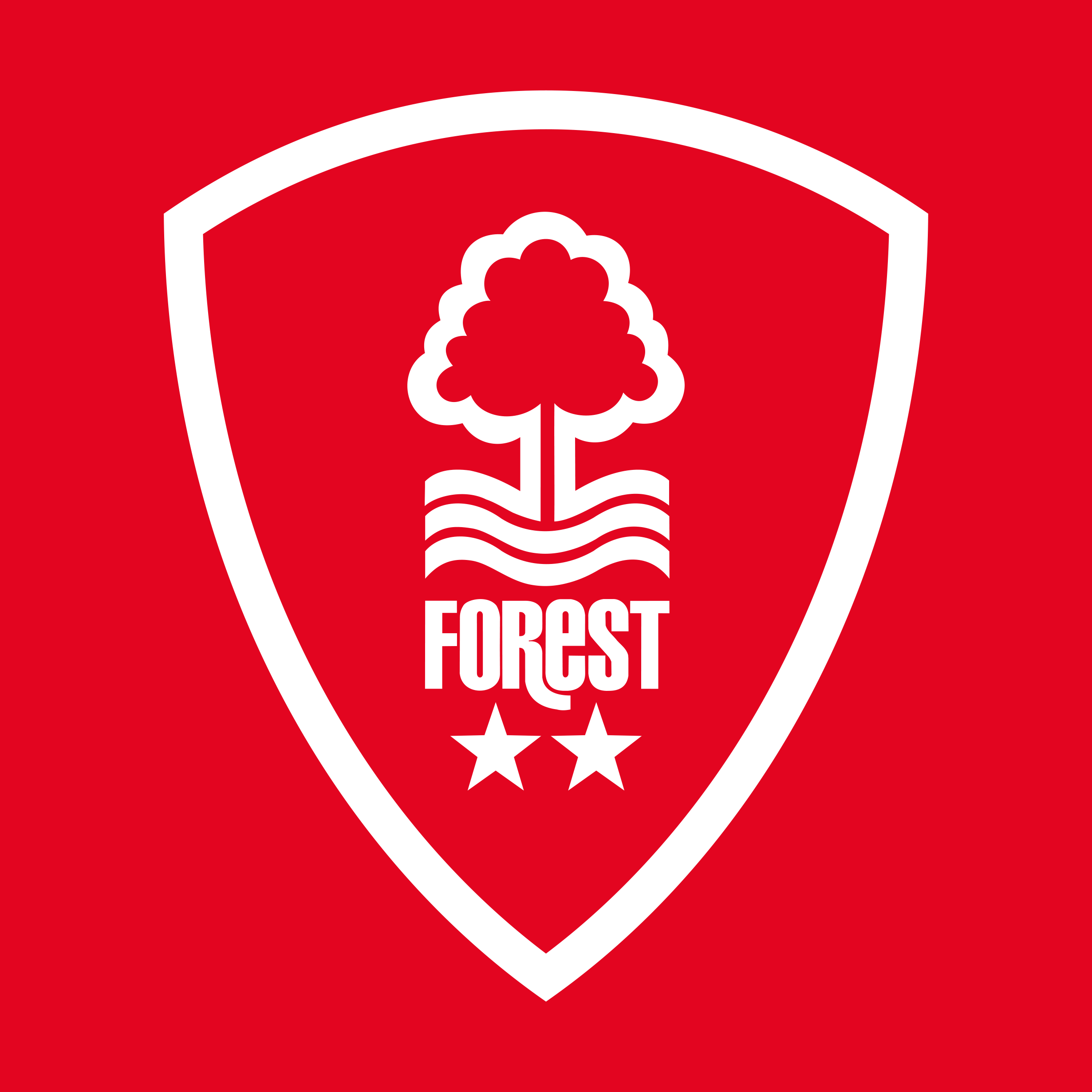 Nottingham Forest